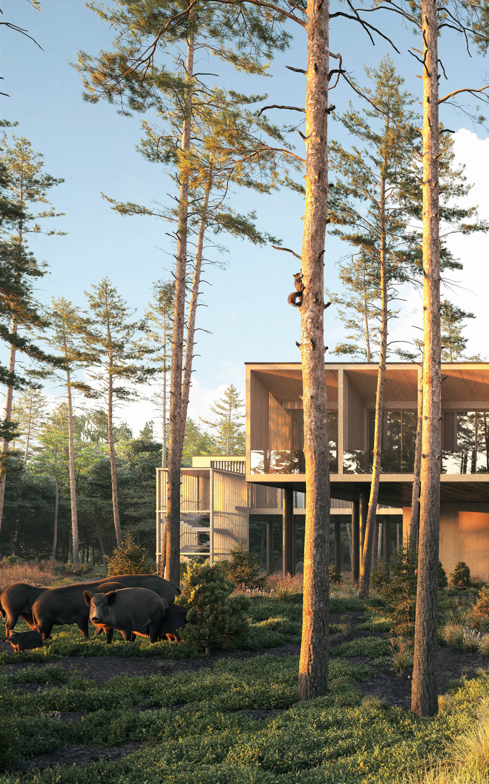 Architecture in Response to Nature: Hotel in Mazury