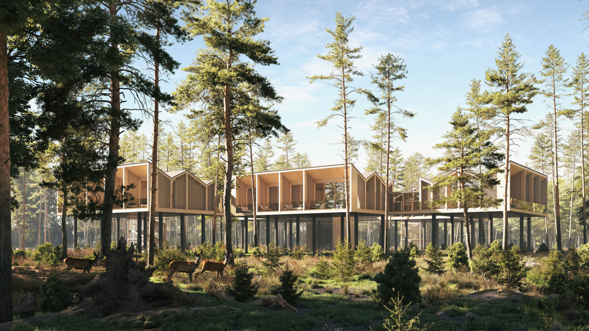 Architecture in Response to Nature: Hotel in Mazury